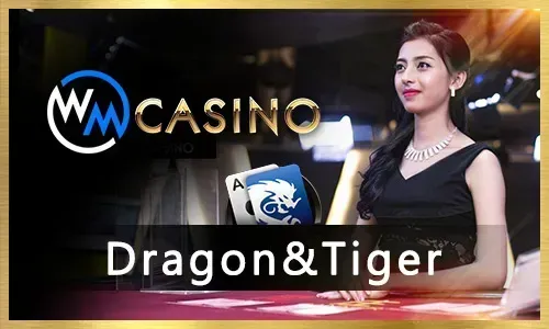 Exclusive casino promotions and bonuses