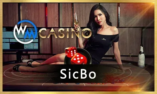 Wide variety of Jili77 Slot games